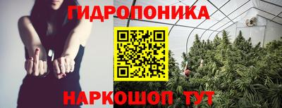 прущие грибы Кинель