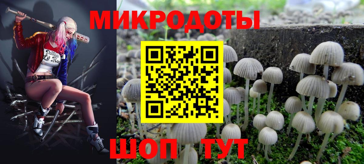 Галлюциногенные грибы прущие грибы  купить наркоту  Кировск  Вход с VPN 